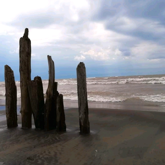 Meet your Posher, JennHA68 - Picture 1 of 1